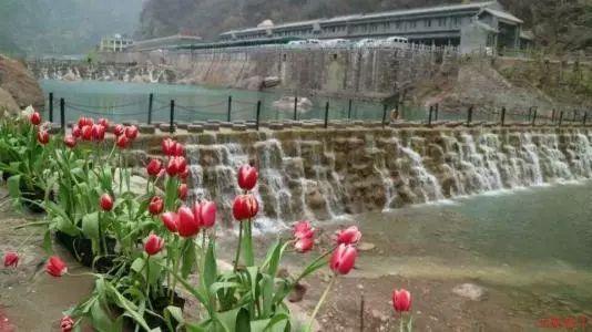 全国捕获多位奇葩小偷，作案过程让人捧腹，网友：说相声去吧